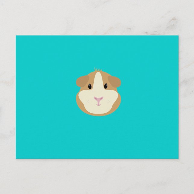 Guinea pig postcard (Front)