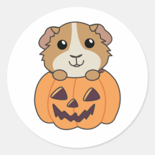 Guinea Pig Pumpkin Sweet Animals Happy Halloween Classic Round Sticker