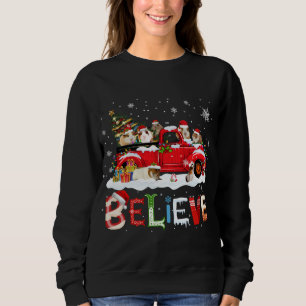 Guinea Pig Riding Red Truck Christmas Tree Believe Sweatshirt