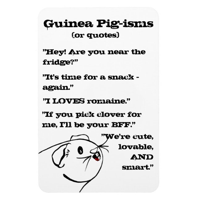 Guinea Pig Sayings Magnet (Vertical)
