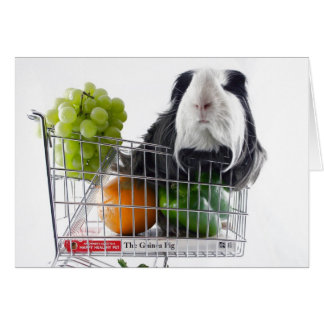 Guinea pig shopping spree