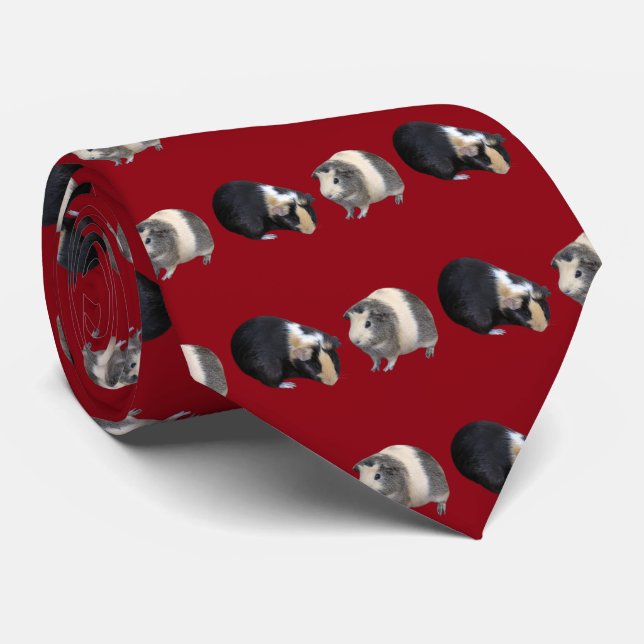 Guinea pig tie (Rolled)