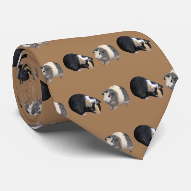 Guinea pig tie (Rolled)