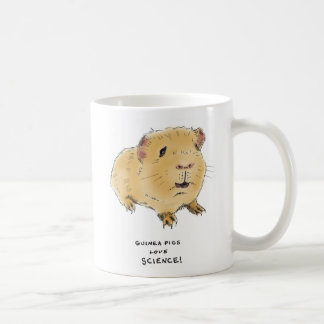 guinea pig trivia coffee mug