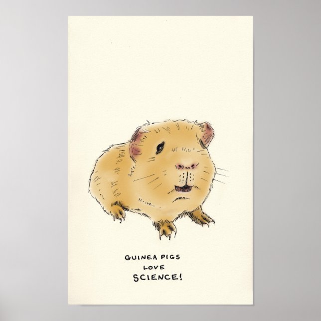 guinea pig trivia poster (Front)