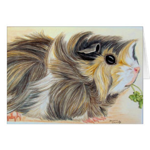 Guinea Pig with sprig