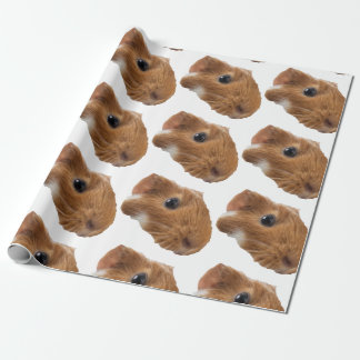 guinea pig  wrapping paper