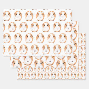 Guinea Pig Wrapping Paper Flat Sheet Set of 3
