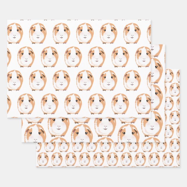 Guinea Pig Wrapping Paper Flat Sheet Set of 3 (Set)
