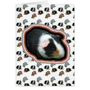Guinea Pigs