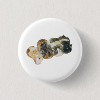 guinea pigs 1 inch round button