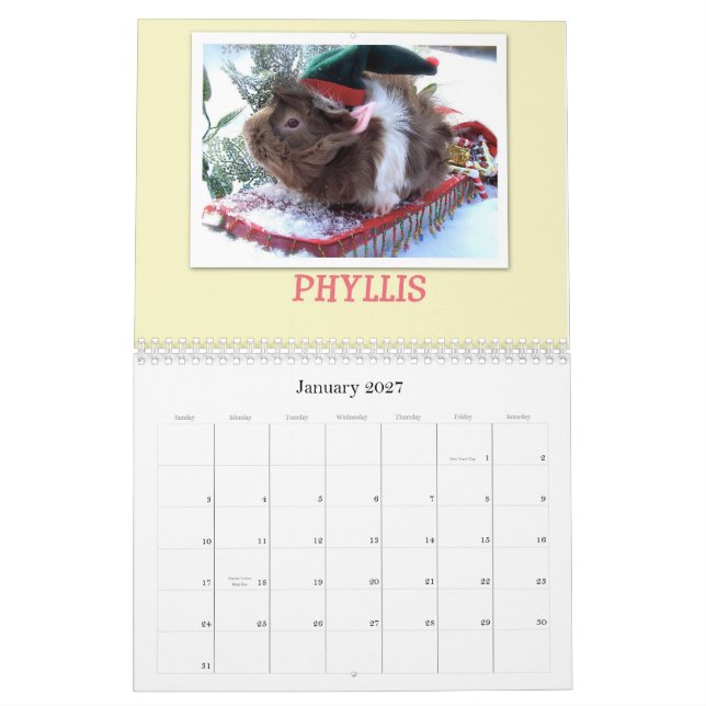 Guinea Pigs 2013 Calendar (Jan 2027)