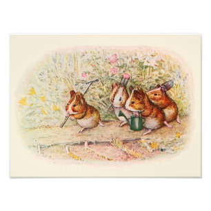 Guinea Pigs and Garden Tools Photo Print