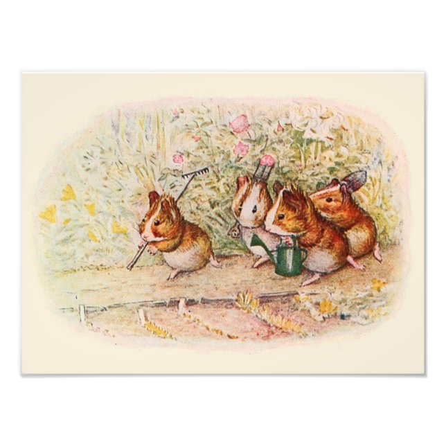 Guinea Pigs and Garden Tools Photo Print (Front)