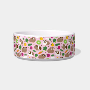 Guinea Pigs And Their Treats Bowl