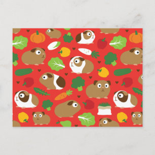 Guinea Pigs And Their Treats Postcard