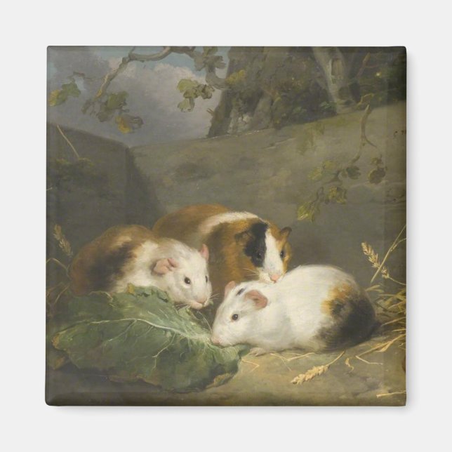 Guinea Pigs (by George Morland) Magnet (Front)