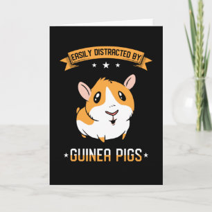 Guinea Pigs Cute Card