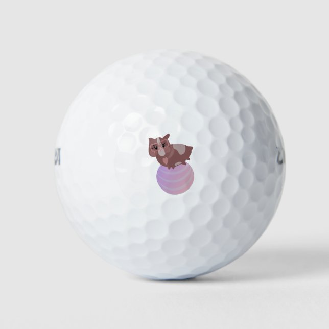 Guinea Pigs Fitness Funny Design Golf Balls (Front)