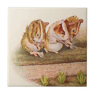 Guinea Pigs Gardening Part 1 of 2 Tile
