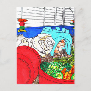 Guinea Pigs in a cage Postcard