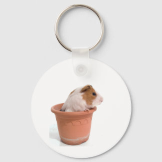 guinea pigs in a flowerpot keychain