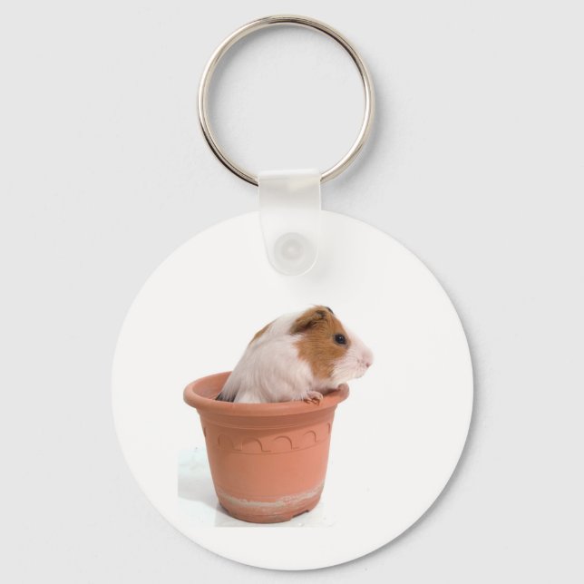 guinea pigs in a flowerpot keychain (Front)