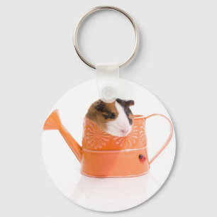 guinea pigs in a watering can keychain