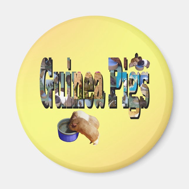 Guinea Pigs Is The Word, Magnet (Front)
