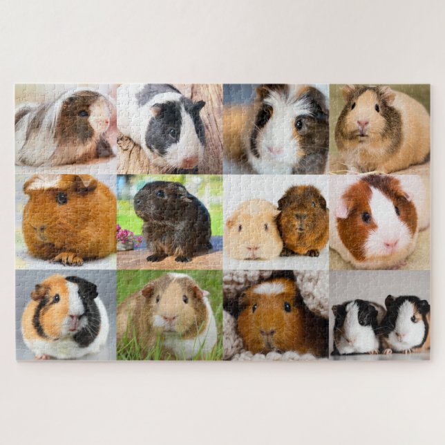 Guinea Pigs Jigsaw Puzzle (Horizontal)