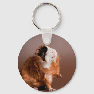guinea pigs keychain