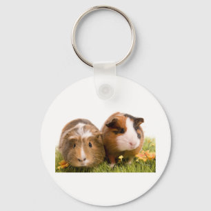 guinea pigs on a lawn keychain
