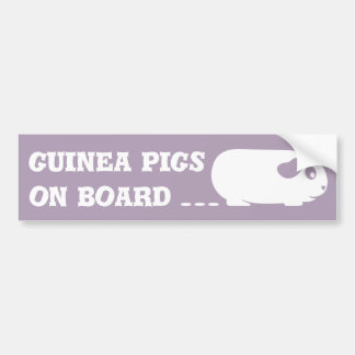 'Guinea Pigs on Board' Bumper Sticker