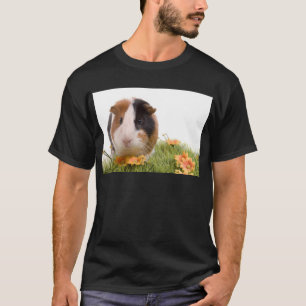 guinea pigs one has lawn T-Shirt