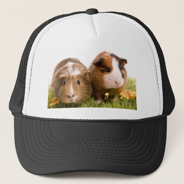 guinea pigs one has lawn trucker hat (Front)