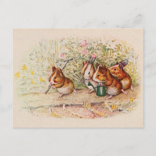 Guinea Pigs Planting in the Garden Postcard