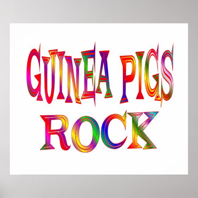 Guinea Pigs Rock Poster (Front)
