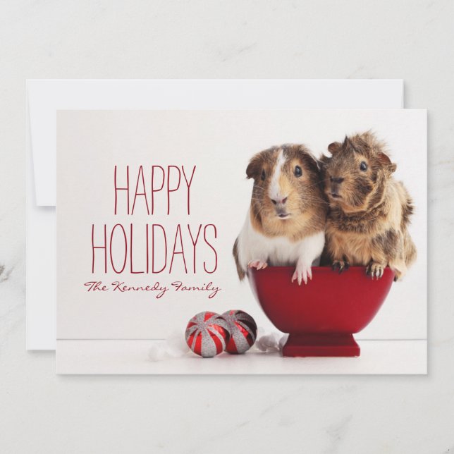 Guinea pigs with Christmas ball Holiday Card (Front)