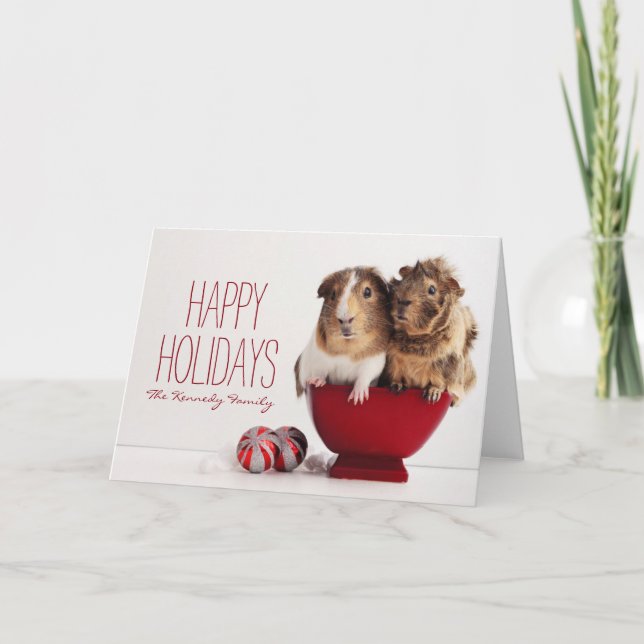 Guinea pigs with Christmas ball Holiday Card (Front)