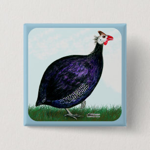 Guinea Royal Purple and Sky 2 Inch Square Button