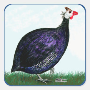 Guinea Royal Purple and Sky Square Sticker