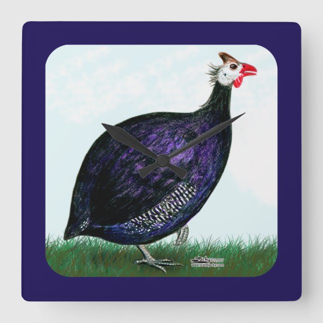 Guinea Royal Purple and Sky Square Wall Clock (Front)