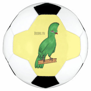 Guinea turaco bird cartoon illustration soccer ball
