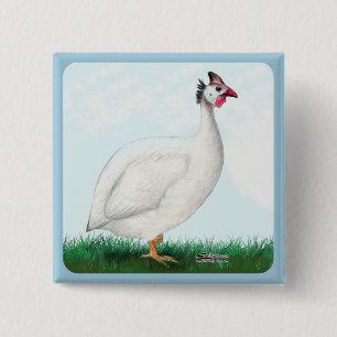 Guinea White 2 Inch Square Button