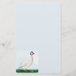 Guinea White Stationery