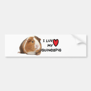 Guineapig Bumper Sticker"I love My Guineapig" Bumper Sticker