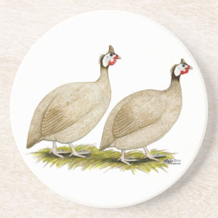 Guineas Buff Dundotte Fowl Coaster