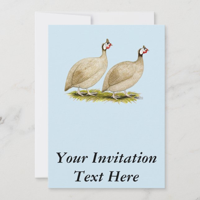 Guineas Buff Dundotte Fowl Invitation (Front)