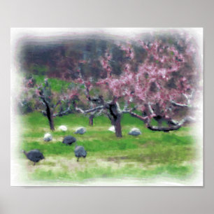Guineas in the Orchard Print/Poster Poster
