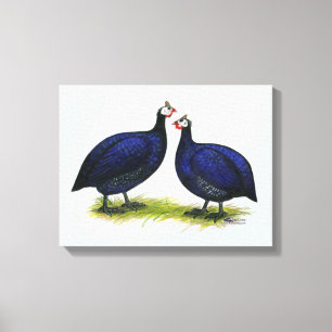 Guineas Royal Purple Pair Canvas Print